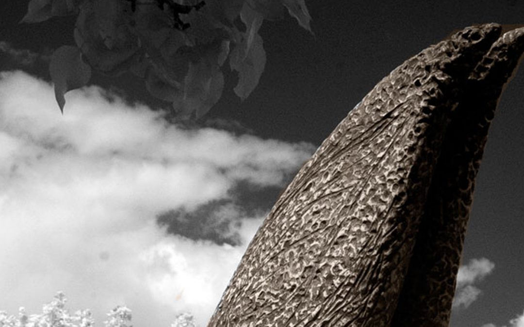 Spending Easter on Easter Island