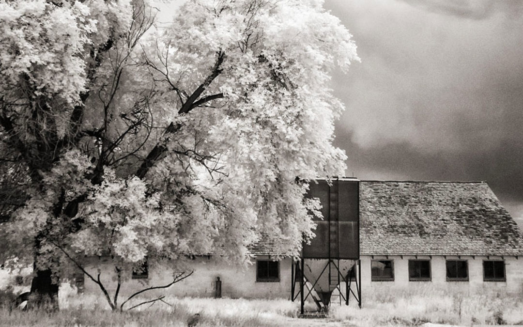 Monochrome Monday: Stormy Weather in Infrared