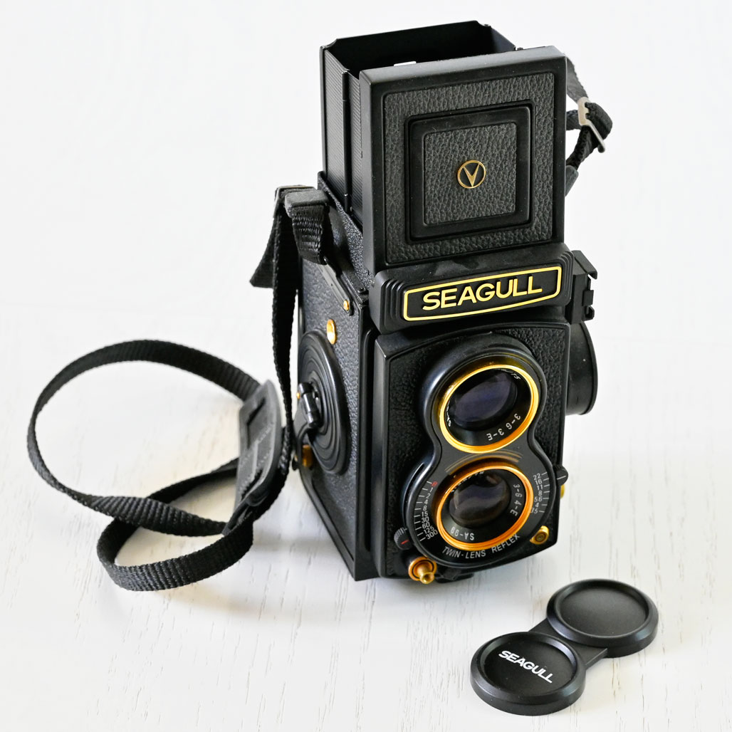 Film Friday: Gold-trimmed Seagull TLR | JoeFarace.com