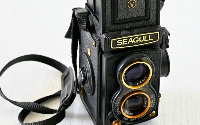 Film Friday: The Ups & Downs of my Gold-trimmed Seagull TLR