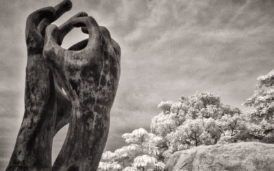 Thoughts about Cameras: On the Other Hand