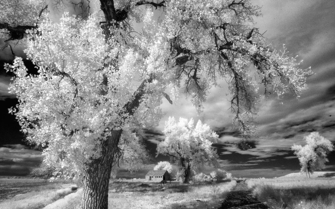 Tuesday Thoughts: Infrared Capture & Image Resolution