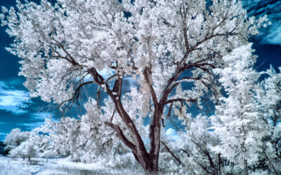 How to Produce the Blue Sky Infrared Technique