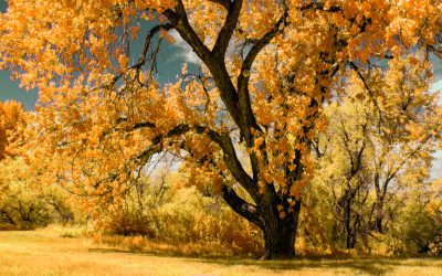 As with Music, Practicing Makes a Difference