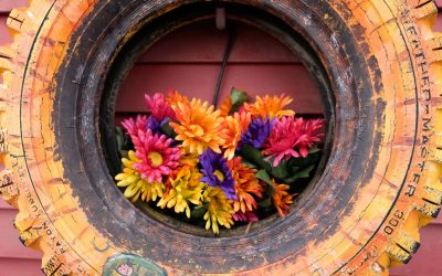 Field Testing: Sigma’s 14-24mm f/2.8 DG DN Art Lens