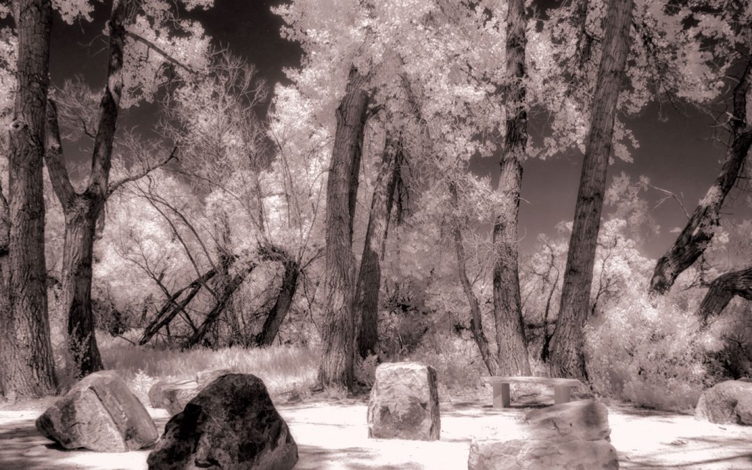 Monochrome Friday: Is White Balance Important in IR Photography?