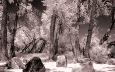 Monochrome Friday: Is White Balance Important in IR Photography?