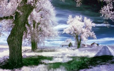How to Create Color Infrared Images