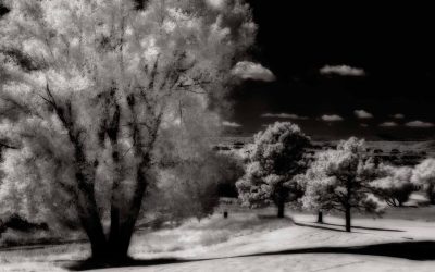 dans la nuit: RAW Infrared to Monochrome