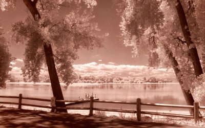 Musings on Filters for Infrared Photography