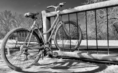 Monochrome Monday: Sigma’s 35mm f/2 in the Snow