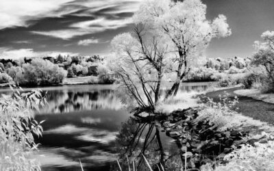 How I Photographed “Lakeside Infrared”