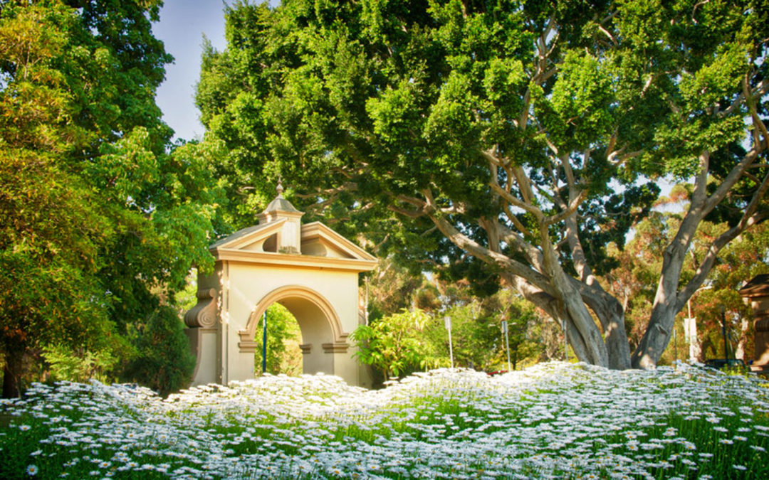 Why Not Take A Walk In the Park Today