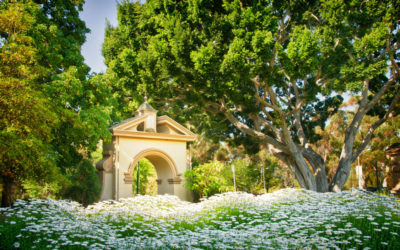 Why Not Take A Walk In the Park Today