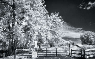 Tuesday Thoughts: Capturing Infrared Photography in HDR