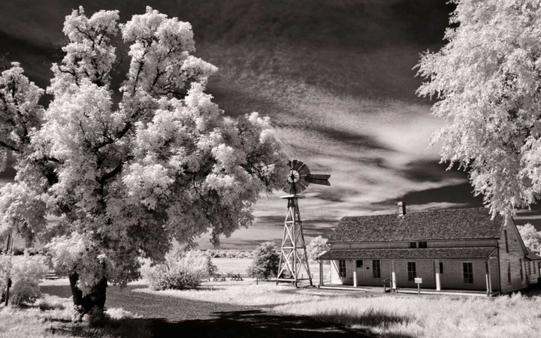 Tuesday Thoughts: Photographing 17 Mile Farm in IR