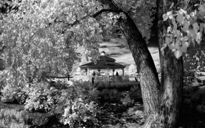 A Few Words about Infrared Camera Conversions