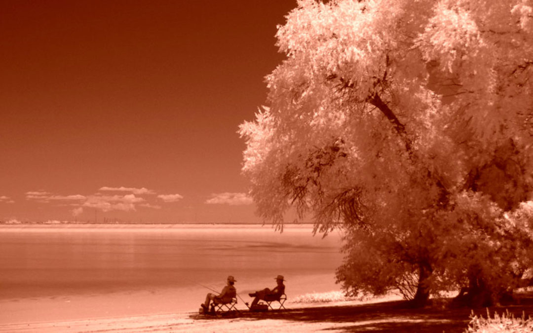 A Beginner’s Look at Camera Filters