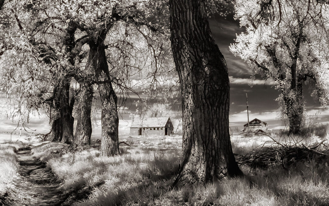 Does Camera Resolution Matter When Shooting Infrared