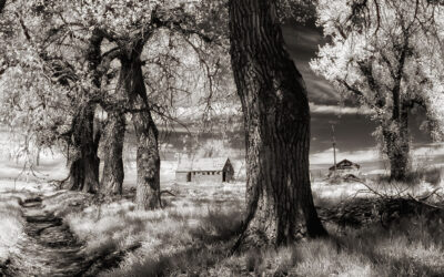 Does Camera Resolution Matter When Shooting Infrared
