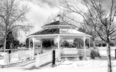 Thursday Vibes: How I Photographed Snowfall in O’Brien Park