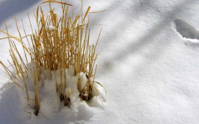 Film Friday Weekend: How Low Can Your Film Temperature Go