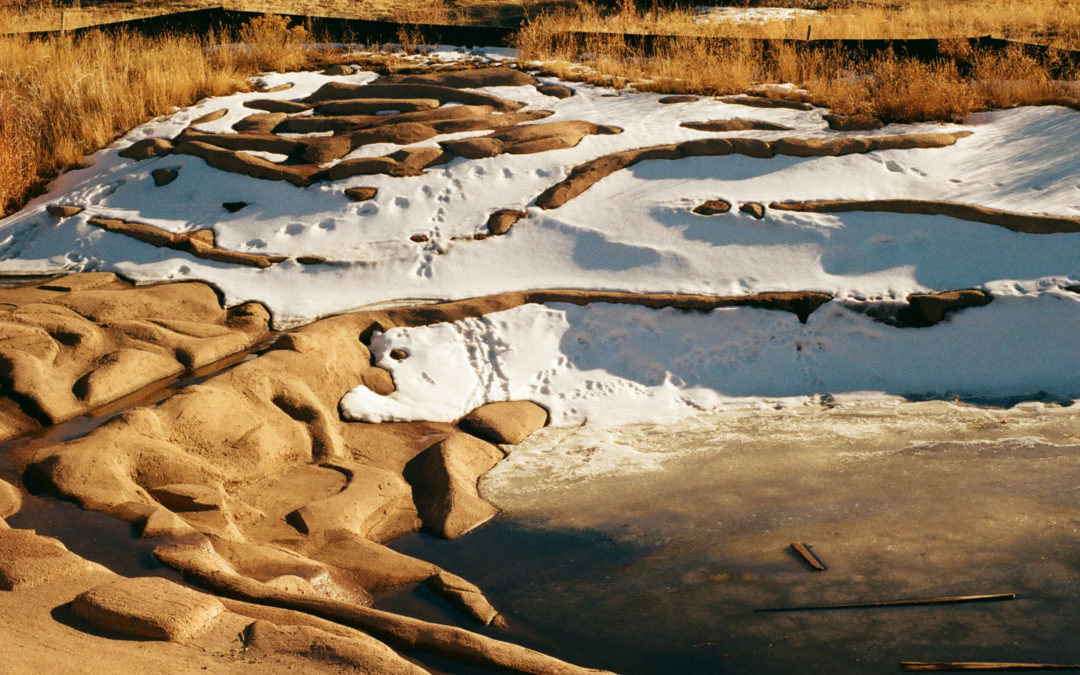 Film Friday: Going for (Kodak) Gold