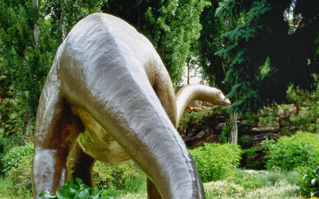 Film Friday: Photographing a Real Jurassic Park