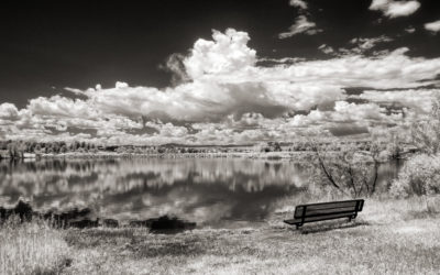 Monochrome Monday: Taking an Infrared Walk