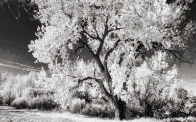Are Your Images Sharp or Just Acceptably Sharp?