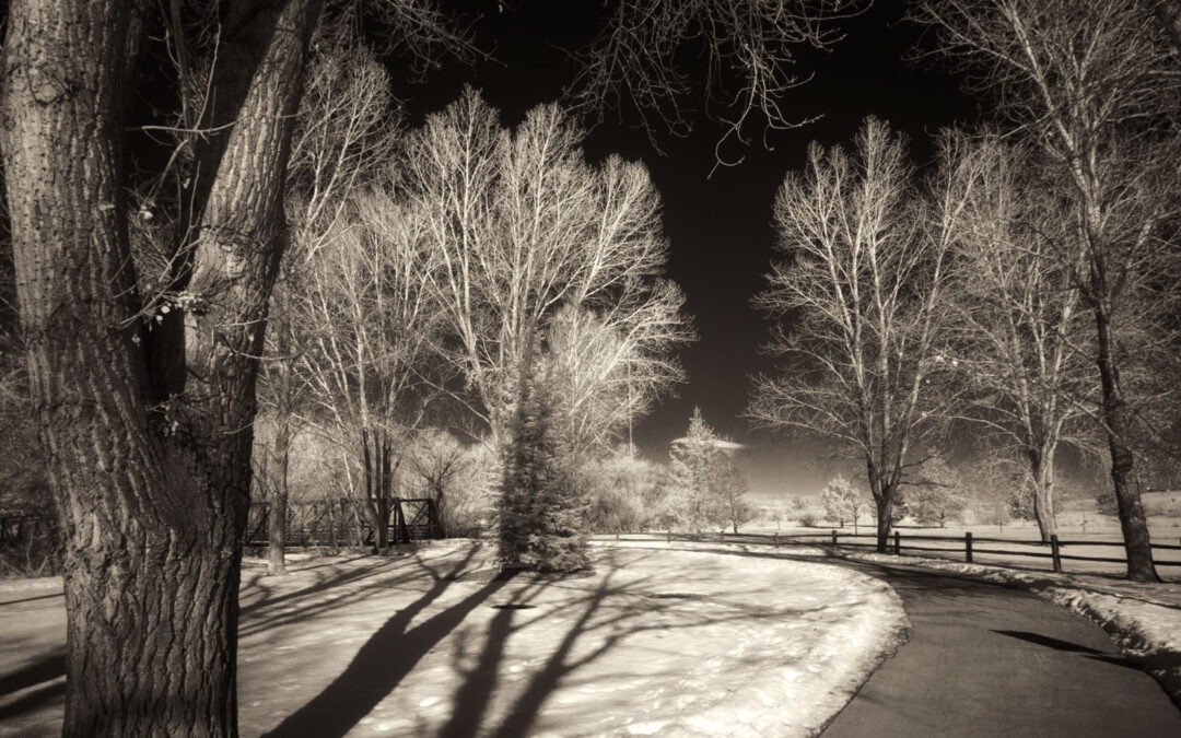 Shooting Infrared with the Laowa 7.5mm f/2