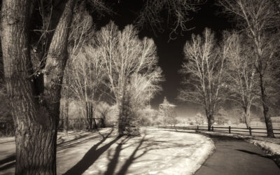 Shooting Infrared with the Laowa 7.5mm f/2
