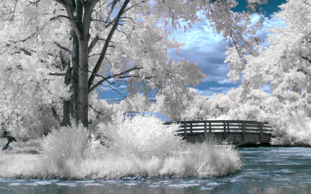 Photographing Infrared Landscapes with Mirrorless Cameras