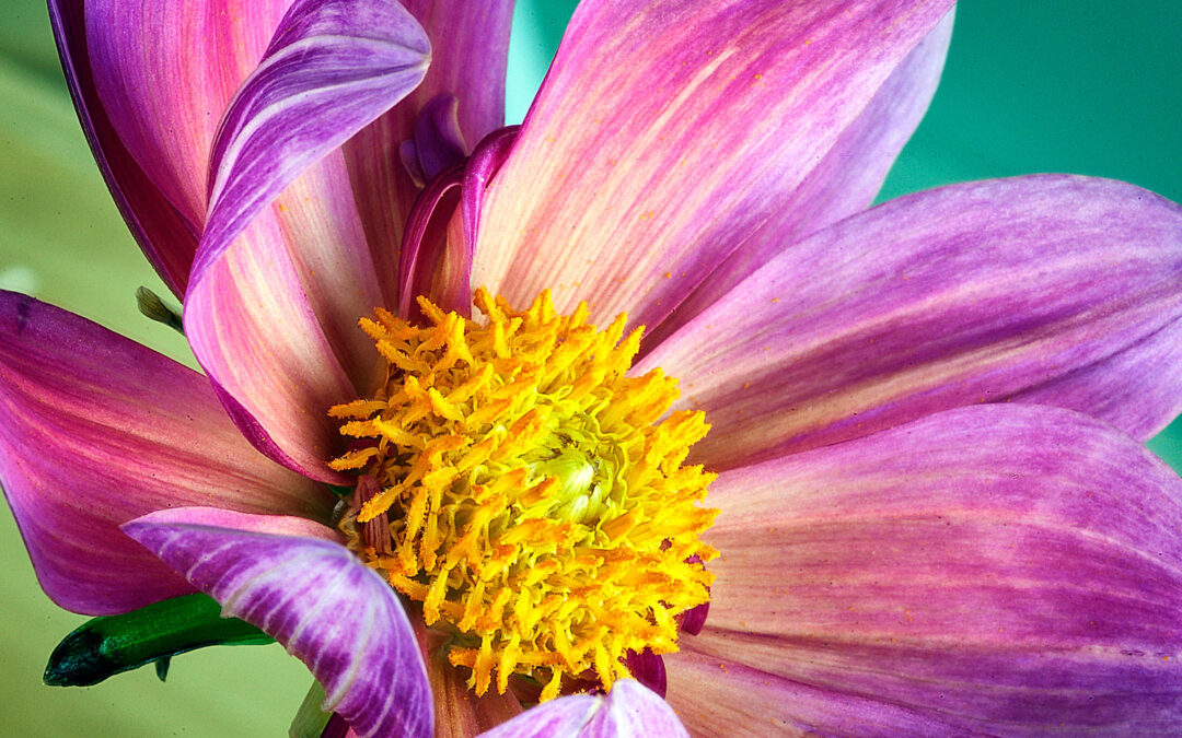 Deconstructing A Few Photo Clichés