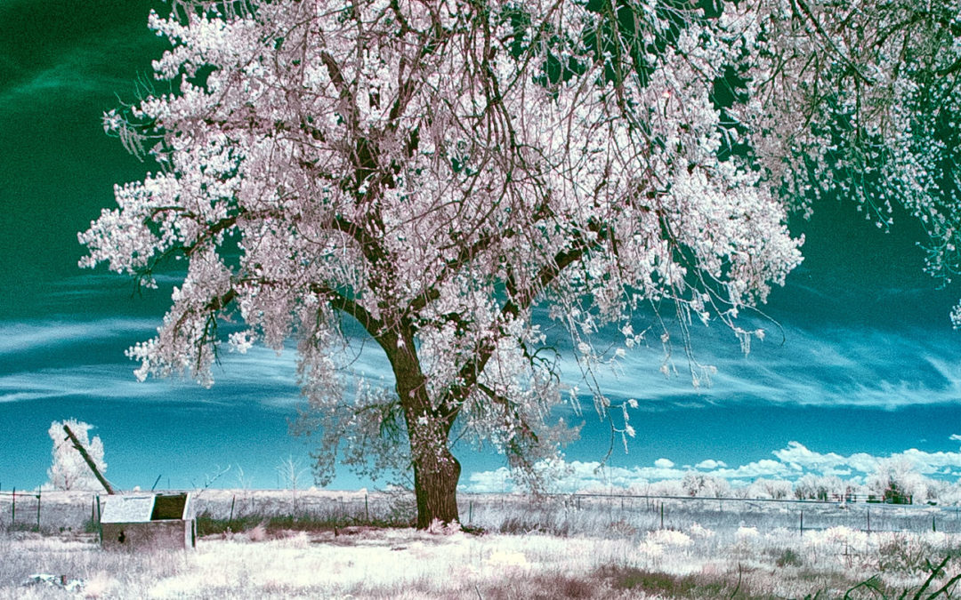 A Look at Photography Genres: A New Theme