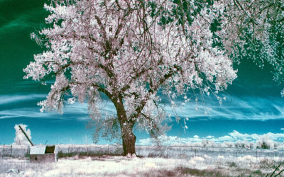 A Look at Photography Genres: A New Theme