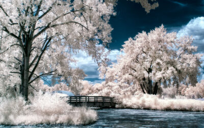 Why I Enjoy Infrared Photography