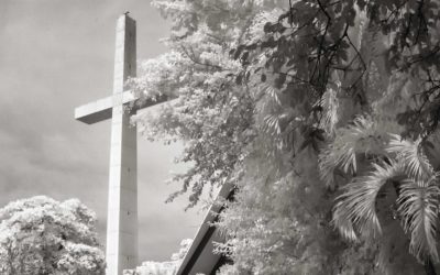 Travel Tuesday: Infrared Photography in Mexico