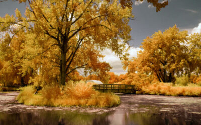 Working with LifePixel’s Hyper Color Infrared Filter