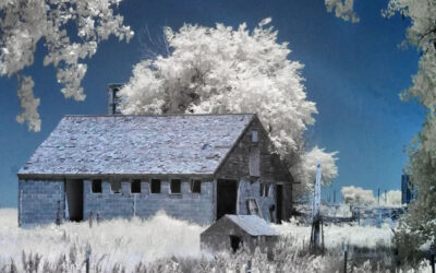 How Sensitive is Your Digital Camera to Infrared?