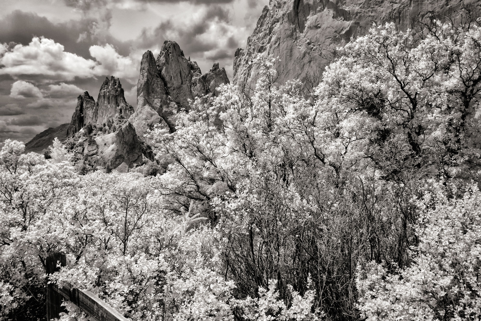 © Joe Farace. Garden of The Gods, Colorado