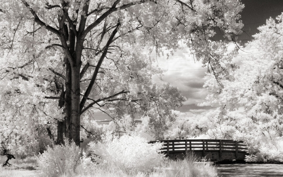 Monochrome Monday Reminiscences: Ah, The Good Old Days?
