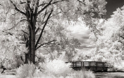 Monochrome Monday Reminiscences: Ah, The Good Old Days?