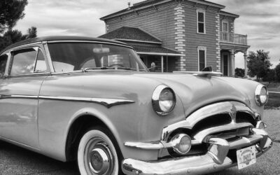 Monochrome Monday: Looking Good in Black and White