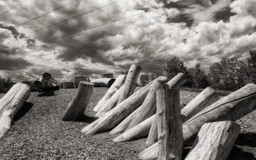 Monochrome Monday: Is the Photograph’s Format the Message?