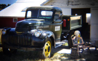 Girlfriend Camera + Holga Lens = Pix