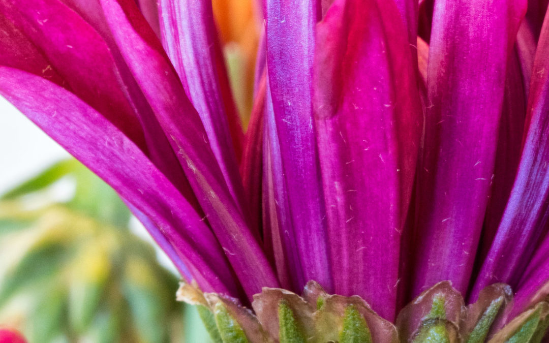 Why Should You Shoot in Manual Mode?