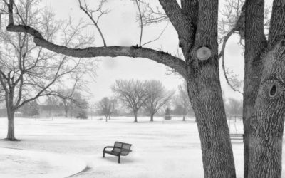 Thursday Vibes: Snow Day on Daisy Hill