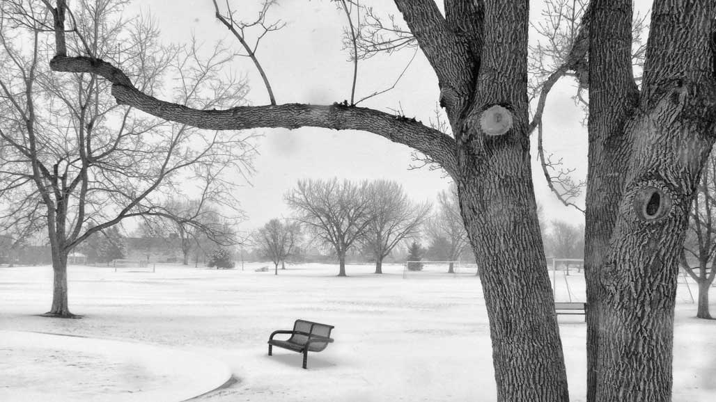 Thursday Vibes: Snow Day  on Daisy Hill