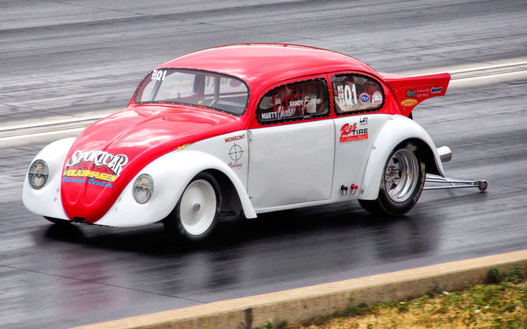 Wheels Wednesday: Shooting Bugs with a Mirrorless Camera